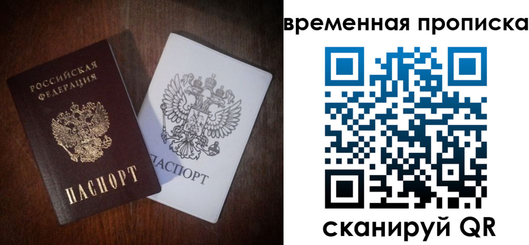 прописка штамп в Вязьме